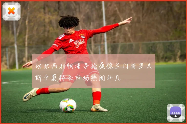 切尔西利物浦争抢桑德兰门将罗夫斯今夏转会市场热闹非凡