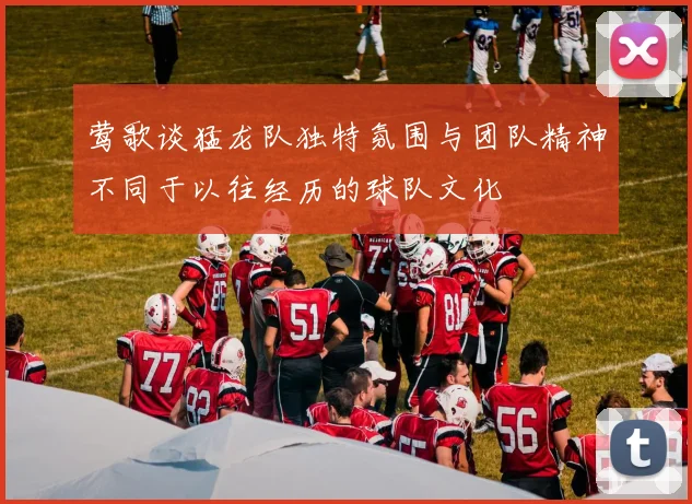 莺歌谈猛龙队独特氛围与团队精神不同于以往经历的球队文化