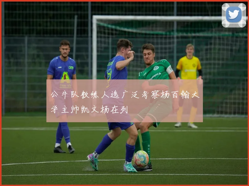 公牛队教练人选广泛考察杨百翰大学主帅凯文杨在列